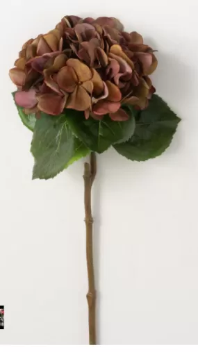 MAROON HYDRANGEA STEM